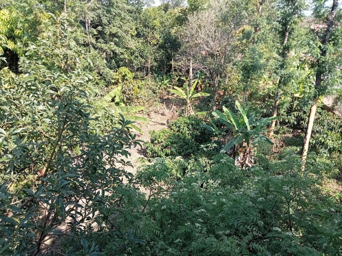 Krupa Homestay Madikeri Εξωτερικό φωτογραφία